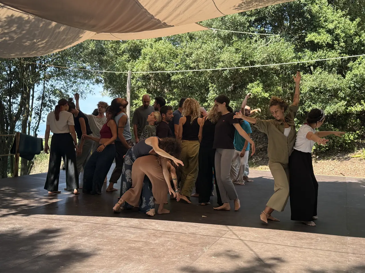 Gruppo che danza insieme durante il workshop, tra il bosco e il prato